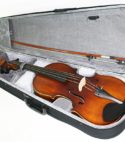 Viola 4/4